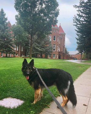 Image post by @nauflagstaff on Instagram