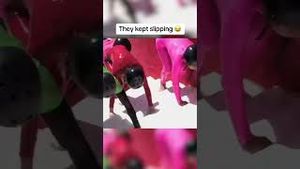 Video post by @espn on YouTube