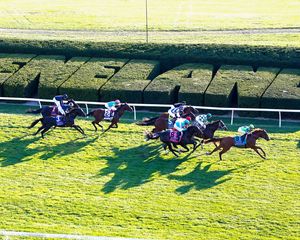 Image post by @thebloodhorse on Instagram