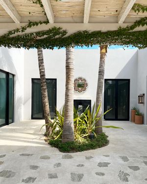 Image post by @palomacontrerasdesign on Instagram