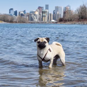 Image post by @cityofcalgary on Instagram