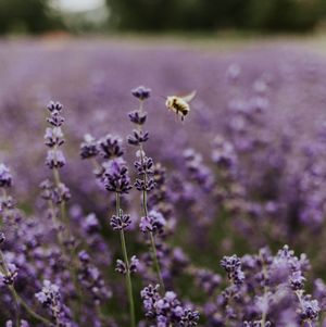 Image post by @tourismabbotsford on Instagram