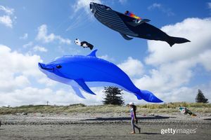 Image post by @gettyimages on Instagram