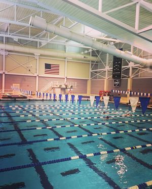 Image post by @ithacaswimdive on Instagram
