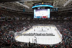 Image post by @sanjosesharks on TikTok