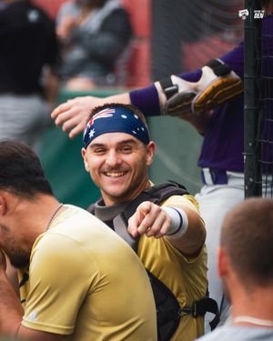 Image post by @bubruins_bsbl on Instagram