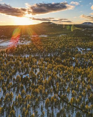Image post by @nauflagstaff on Instagram