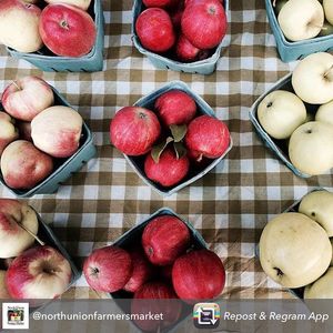 Image post by @playhousesquare on Instagram