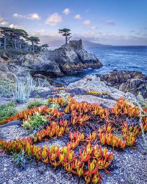Image post by @pebblebeachresorts on Instagram
