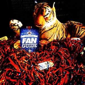Image post by @auburnalumni on Instagram