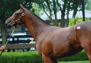Image post by @spendthriftfarm on Instagram