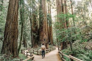 Image post by @sfsu_campusrec on Instagram