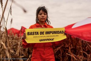Image post by @greenpeace on Instagram