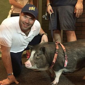 Image post by @biscuitbaseball on Instagram