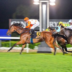 Image post by @australianturfclub on Instagram