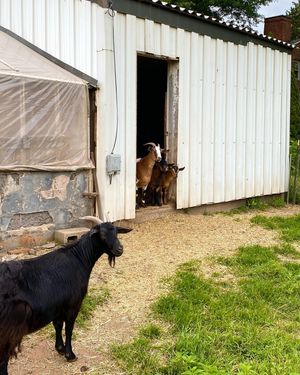 Image post by @adphotography_lab on Instagram