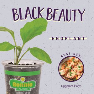 Image post by @bonnieplants on Instagram
