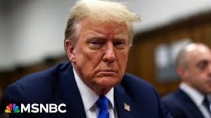 Video post by @msnbc on YouTube