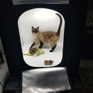 Image post by @fotodioxpro on Instagram