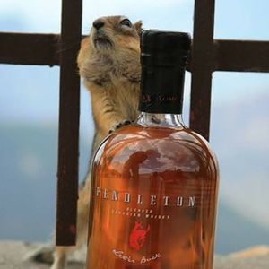 Image post by @pendletonwhisky on Instagram