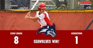 Image post by @stonybrooksb on Instagram