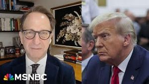 Video post by @msnbc on YouTube