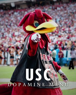 Video post by @uofscstudents on TikTok