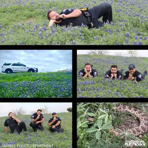 Image post by @kens5 on Instagram