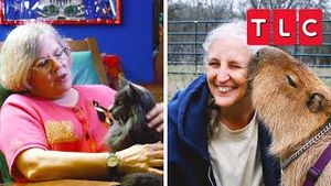 Video post by @tlc on YouTube