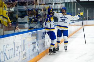 Image post by @nanookshockey on Instagram