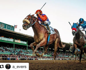 Image post by @spendthriftfarm on Instagram