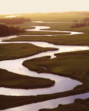 Image post by @kiawahresort on Instagram