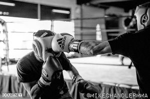 Image post by @mikechandlermma on Instagram