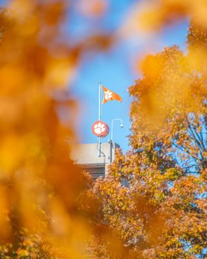 Image post by @clemsontigers on Instagram