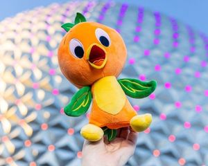 Image post by @disneyparks on Instagram