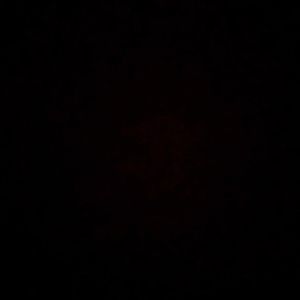 Image post by @wasserman on Instagram