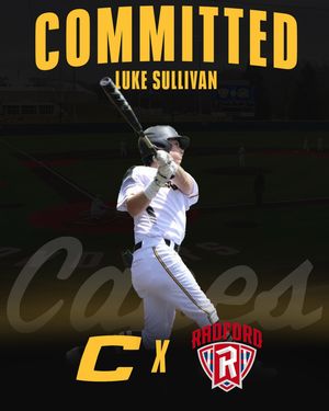 Image post by @thecanesbb on Instagram