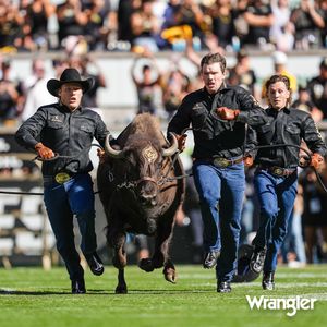 Image post by @CUBuffs on Twitter