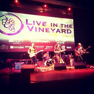 Image post by @liveinthevineyard on Instagram