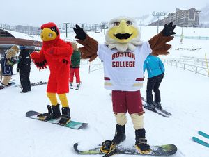 Image post by @bceagles on Instagram