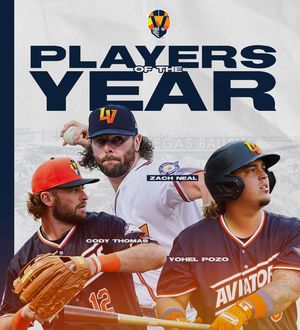 Image post by @aviatorslv on Instagram