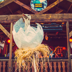 Image post by @dirtybirdcamp on Instagram
