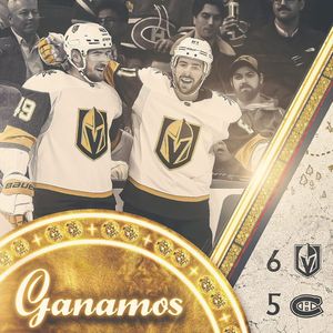Image post by @losgoldenknights on Instagram