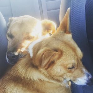 Image post by @annabellescurse on Instagram