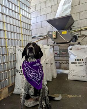 Image post by @grimmbrosbrew on Instagram