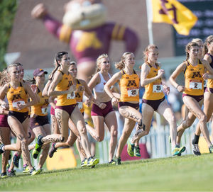 Image post by @gophercctf on Instagram
