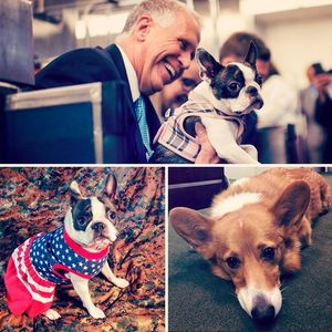 Image post by @nrsc on Instagram