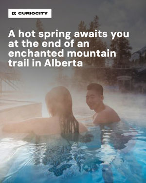 Image post by @curiocitycalgary on Instagram