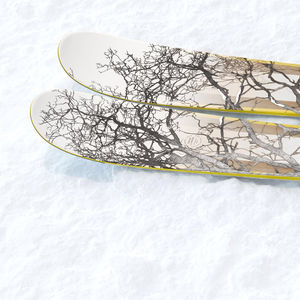 Image post by @j_skis on Instagram