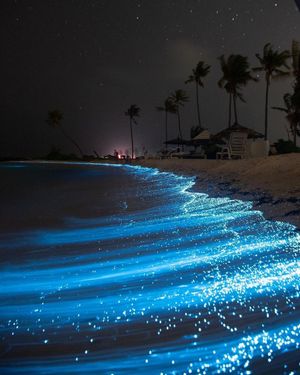 Image post by @fubiz on Instagram